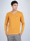 V Neck Spruce Yellow Full Sleeve Pullover