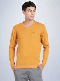 V Neck Spruce Yellow Full Sleeve Pullover