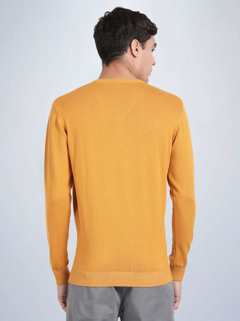 V Neck Spruce Yellow Full Sleeve Pullover