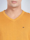 V Neck Spruce Yellow Full Sleeve Pullover