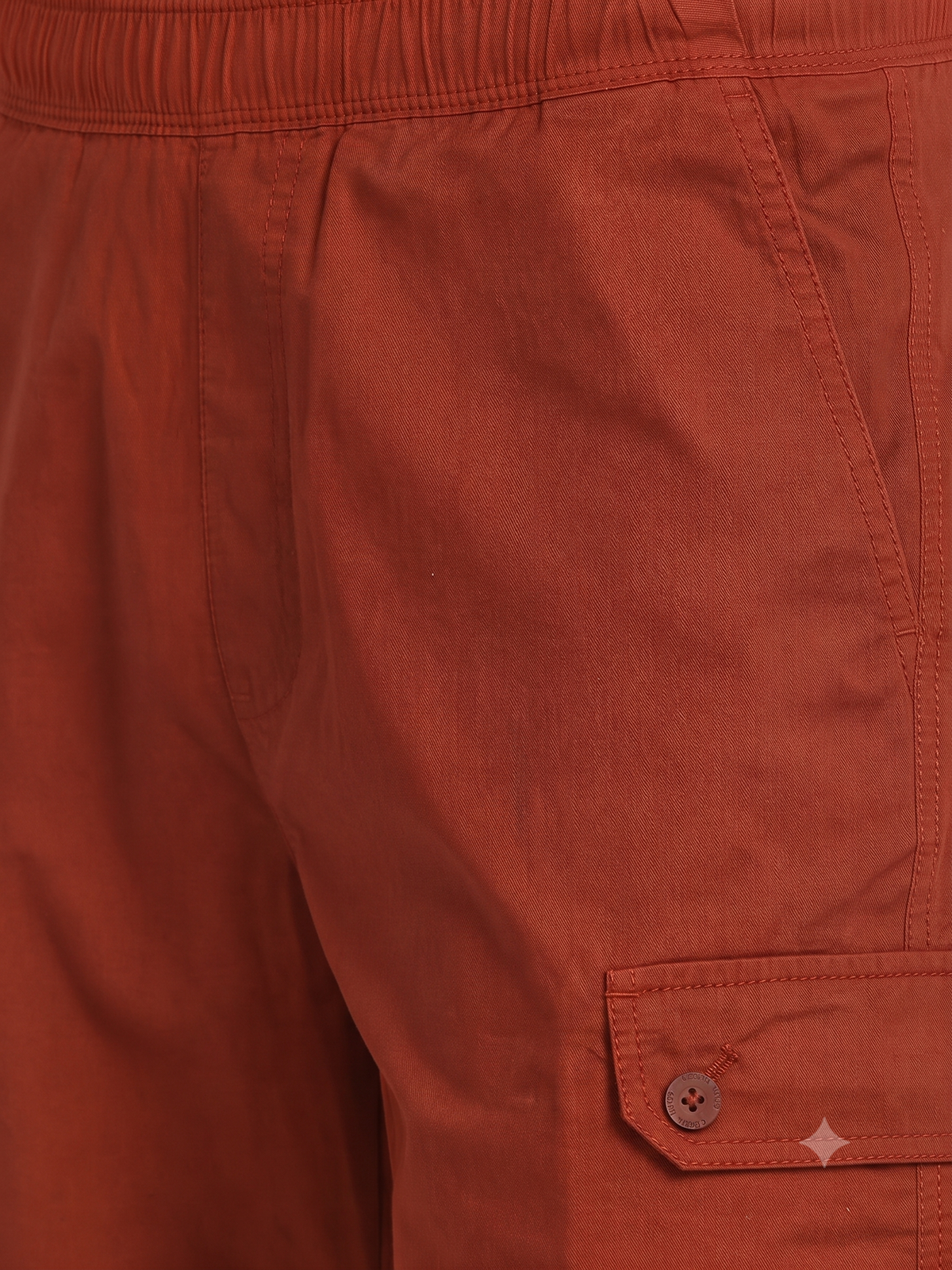 Men’s Rust Casual Shorts – Regular Fit
