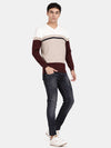 T-Base Men V-Neck Colourblocked Cotton Pullover