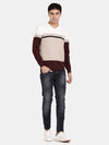 T-Base Men V-Neck Colourblocked Cotton Pullover