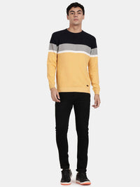 Crew Neck Full Sleeve Yellow Melange Color Blocked Pullover