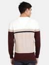T-Base Men V-Neck Colourblocked Cotton Pullover