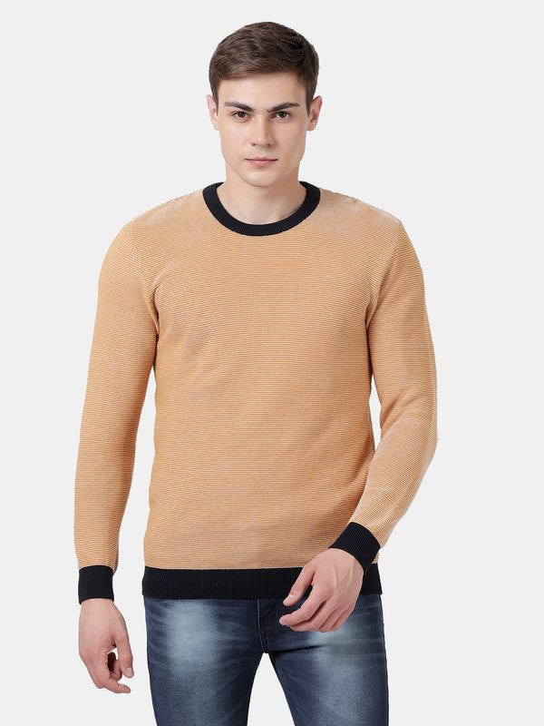 t-base Spruce Yellow Full Sleeve Crewneck Striper Sweater