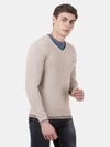 t-base Birch Melange Full Sleeve V-Neck Solid Sweater